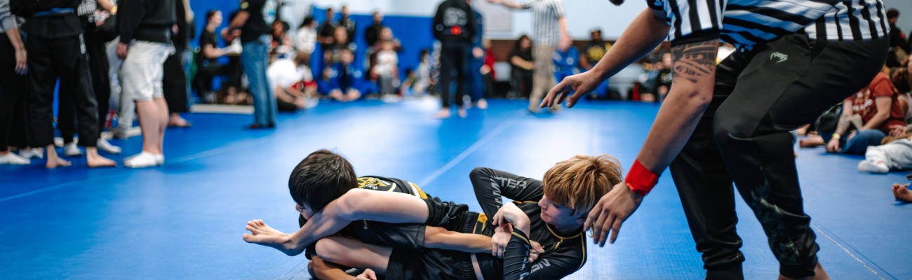 Travis Lutter Brazilian Jiu-Jitsu Blog